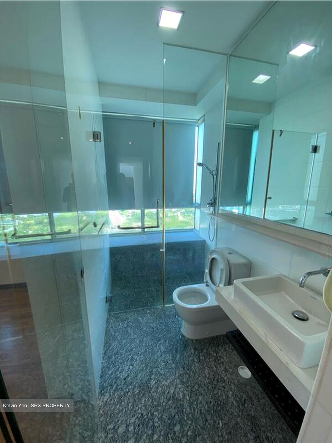 The Riverine By The Park (D12), Apartment #518658571